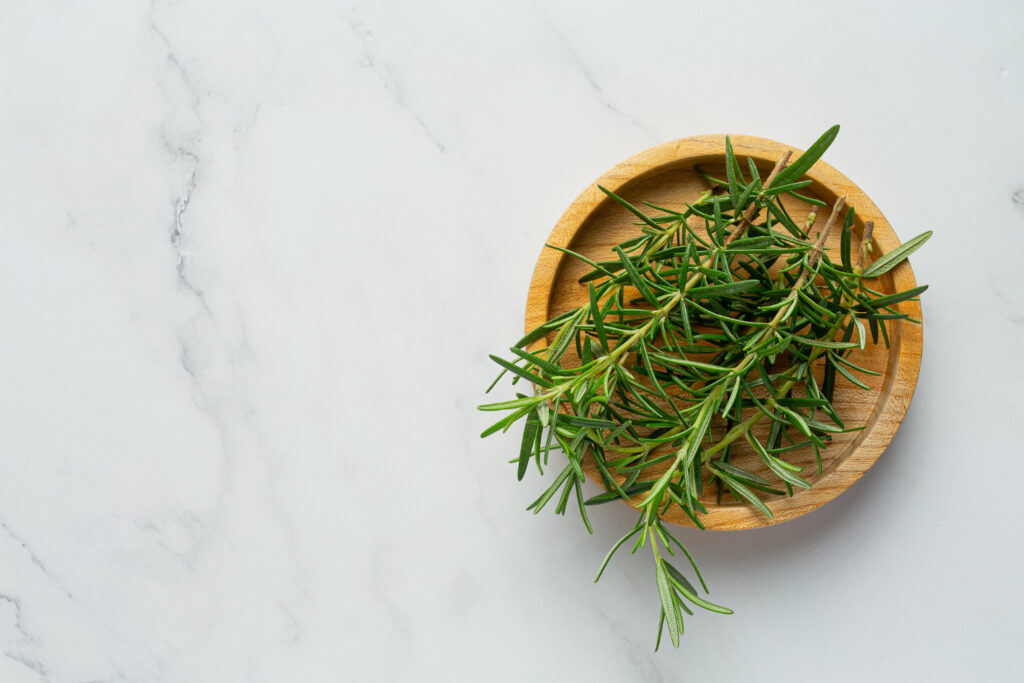 rosemary plants place white marble floor