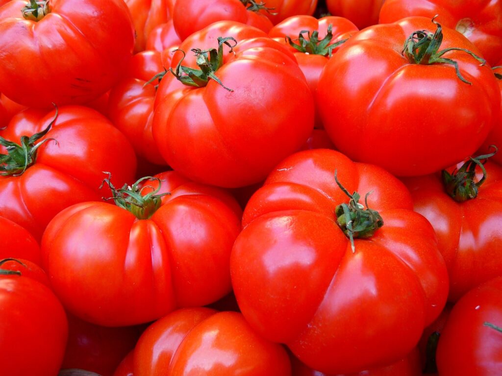 tomatoes 5356 1280